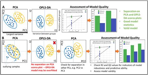 From Samples to Insights into Metabolism: Uncovering Biologically ...