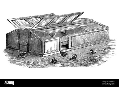 Image result for Brooder House Drawing