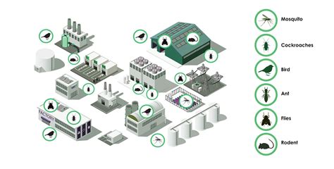 Accurate Services for Commercial Pest Control Services, Anti-Termite ...