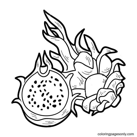 Dragon Fruit Coloring