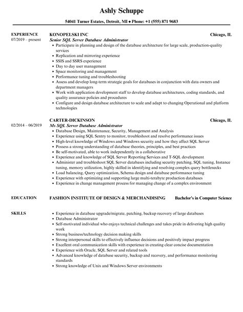 SQL Server Database Administrator Resume 的图像结果