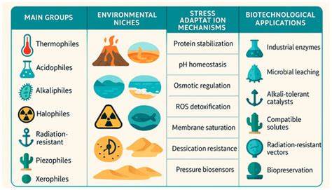 The Extremophiles: Adaptation Mechanisms and Biotechnological Applications