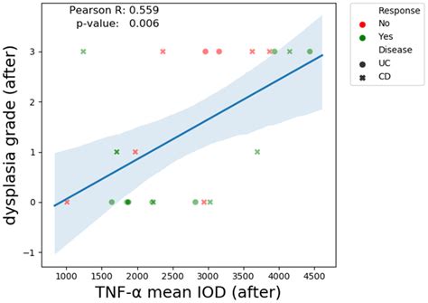 Immunohistochemistry Analysis in Inflammatory Bowel Disease—Should We ...