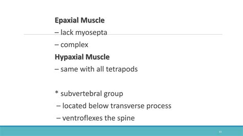 VERTEBRATE COMPARATIVE ANATOMY OF MUSCULAR SYSTEM | PPTX