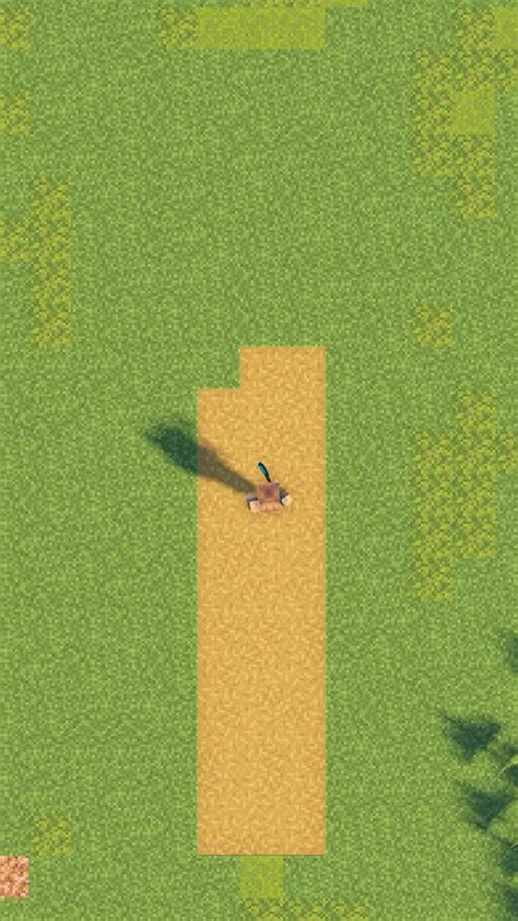 Image result for Minecraft Path Ideas