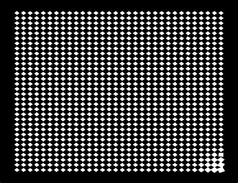 vvvv Beginner's Workshop