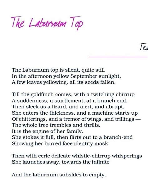 can someone please find the non verbal examples in this poem...it will ...