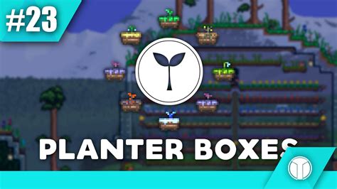 How To Plant In Planter Boxes Terraria at Antonio Talbert blog