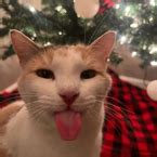 Image result for Hood Customs Script Menu Roblox