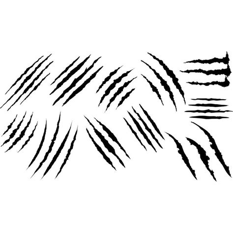 Image result for Write an Algorithm in Scratch Vector Image