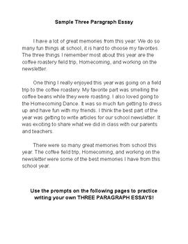 Image result for 3 Paragraph Essay Example