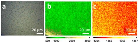 Silver Eco-Solvent Ink for Reactive Printing of Polychromatic SERS and ...