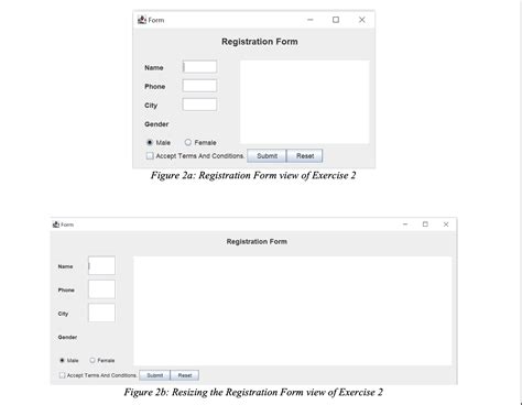 Image result for Java GUI Form