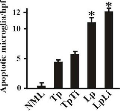 Image result for Flow Cytometry of Microglia Videotutorial