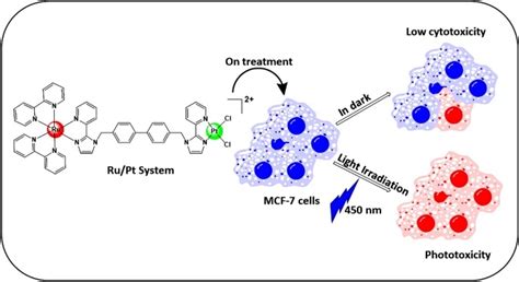 Journal of Chemical Sciences | Indian Academy of Sciences