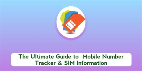 Sim Number Tracking 的图像结果