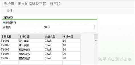 SAP Coding Block 的图像结果