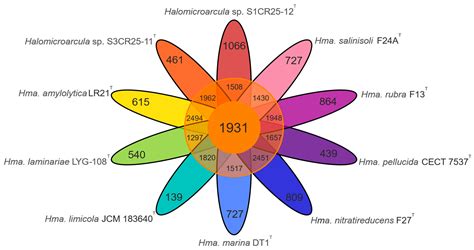 Decoding the Genomic Profile of the Halomicroarcula Genus: Comparative ...