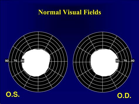 Image result for Sample Table Data HTML