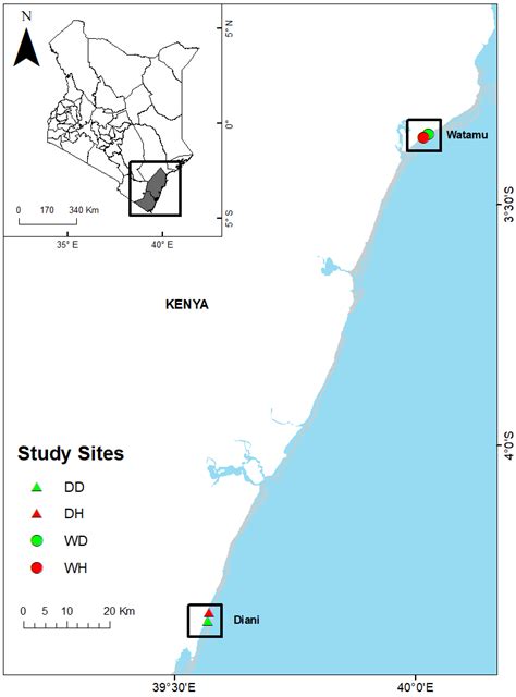 Seasonal Occurrence and Relative Abundance of Marine Fish Larval ...
