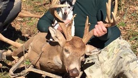 Tennessee deer hunting season opens Saturday: Five things to know