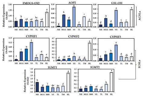 Targeted Metabolic and In-Silico Analyses Highlight Distinct ...