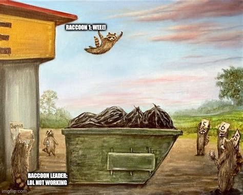 Waschbär-Plan - Memes - Schlechte Witze