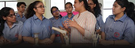 Cambridge Early Years Program at Aravali International.
