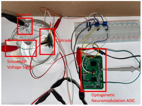 A 4-Channel Optogenetic Stimulation, 16-Channel Recording ...
