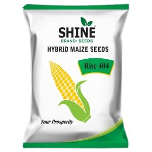 Buy Shine Hybrid Maize Seeds Rise-404 Seeds Online | BigHaat