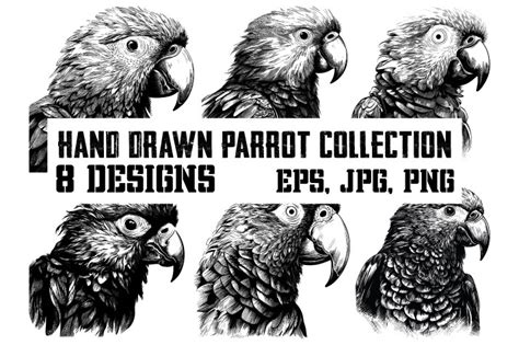 Image result for Simple Hand Drawn Parrot