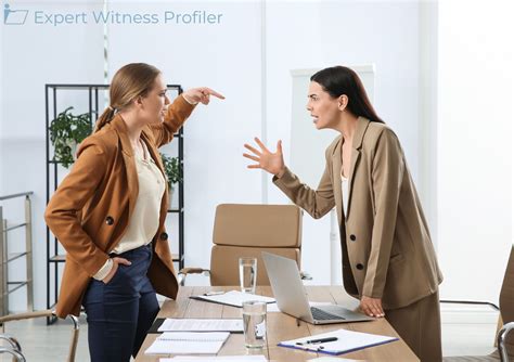 Expert Witness Example 的图像结果