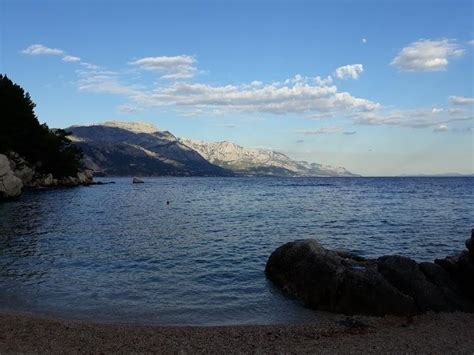 Borka (Strand) - Medici