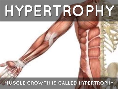 Image result for Computer Link Muscle Growth