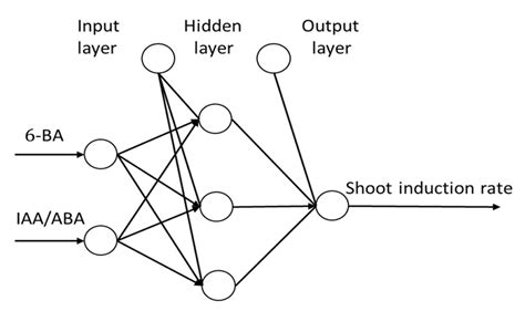 Image result for Implementing Models of Artificial Neural Network