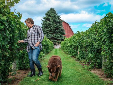 Our Vineyard — Ciccone Vineyard & Winery