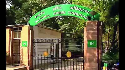 Nainital Bird Reserve: No Eco Damage Caused Near Nainital Bird Reserve ...