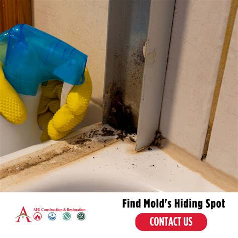 Mold Remediation Cost Guide: How Much Will It Cost You? - AEG ...