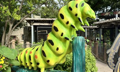 Things To Do In San Antonio - Deals on Activities in San Antonio, TX ...