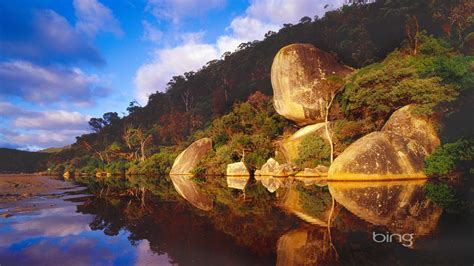 Bing Rewards Guide 的图像结果