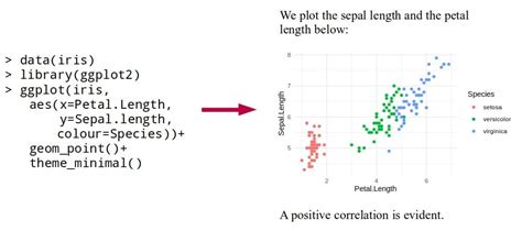 Image result for R Notebook Tutorial