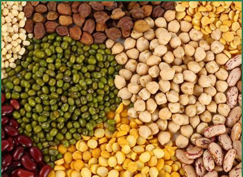 Guru Prakash Agro Briquettes