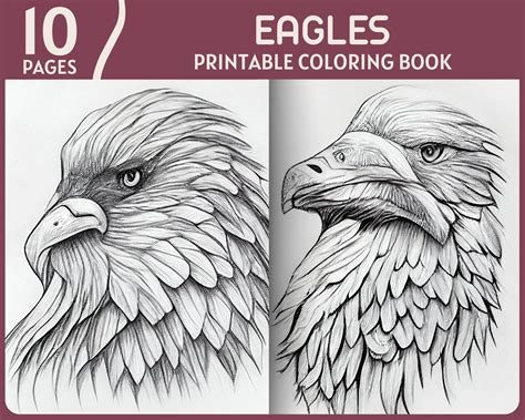 Coloring Pages Eagle
