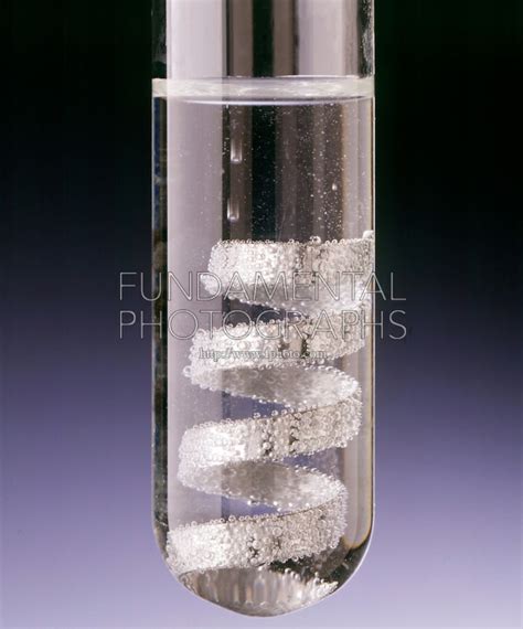 zinc is put in concentrated sodium hydroxide. explain with the help of ...