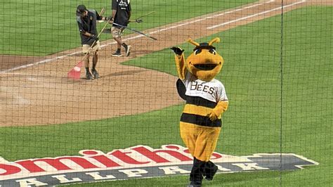 Everything to know about Salt Lake Bees Baseball Games - Utah's ...