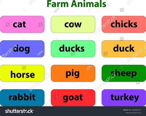 Farm Animals List Animal Chart Learning: เวกเตอร์สต็อก (ปลอดค่า ...