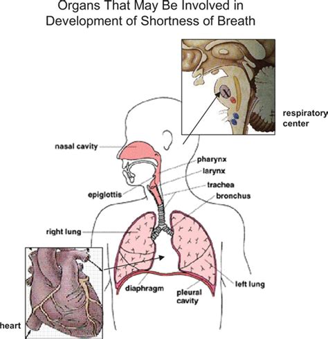 Chest Pain Burping And Shortness Of Breath at Henry Lymburner blog