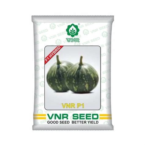 VNR Pumpkin Seeds | Buy Online in India at Best Price – Desikheti