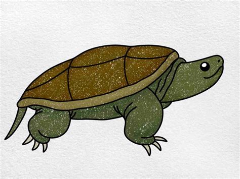 Image result for Snapping Turtle Drawing