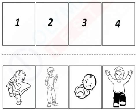 Jumbled Up Pictures Sequencing Worksheet for Kindergarten | Olympiad tester